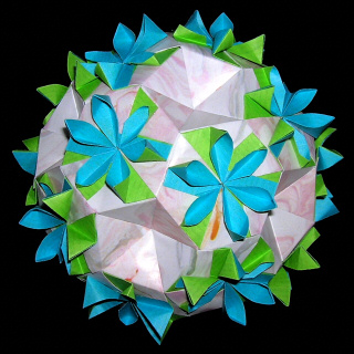 Triangular unit × Hexagonal tile Water hyacinth