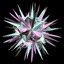 Spiny Different color2