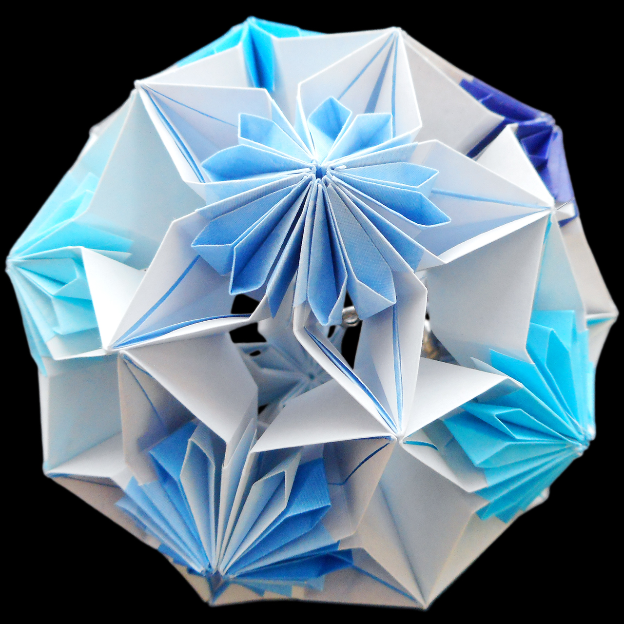 Kotemari Kikka / 小てまり菊花