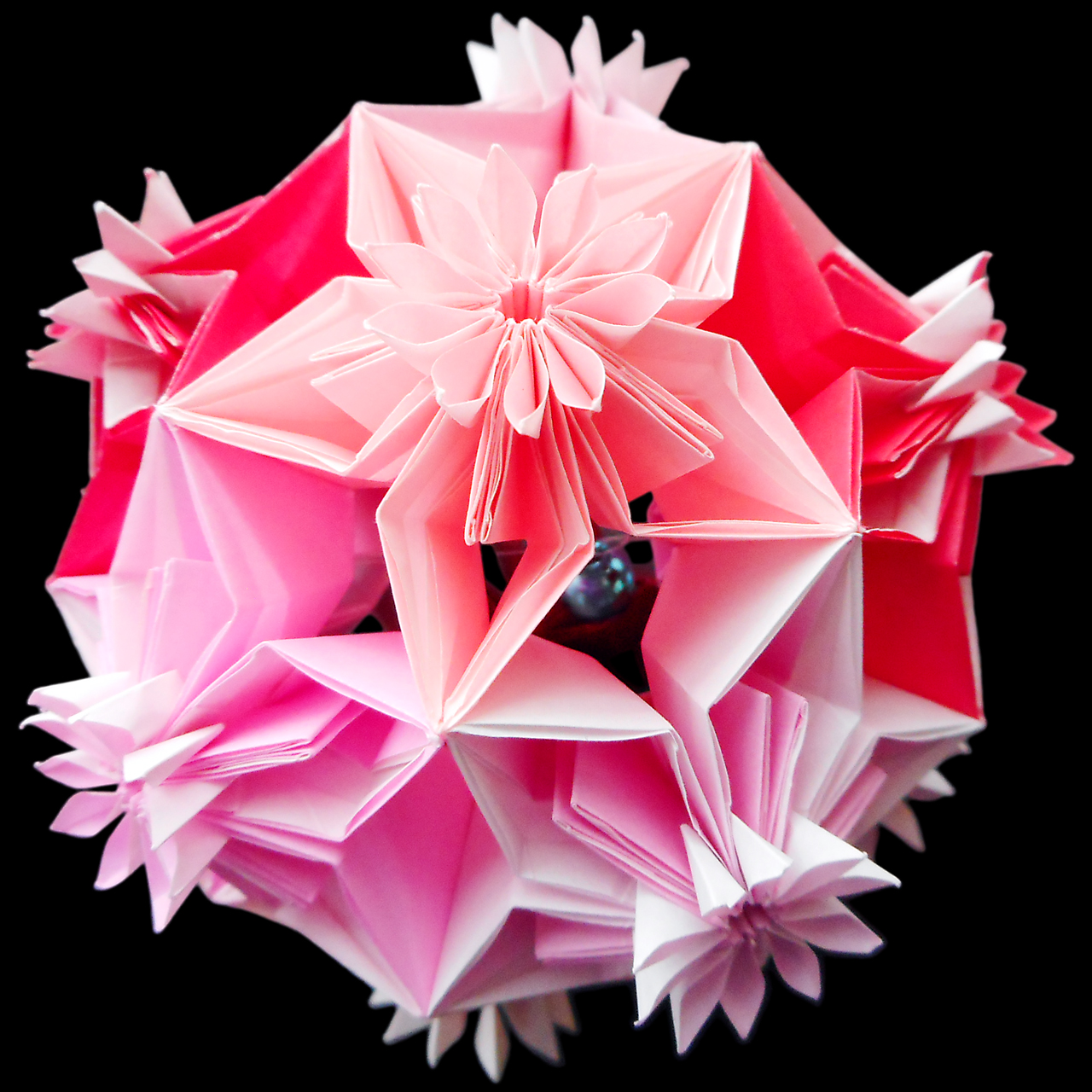 Kotemari Sakurai-zakura / 小てまり桜井桜